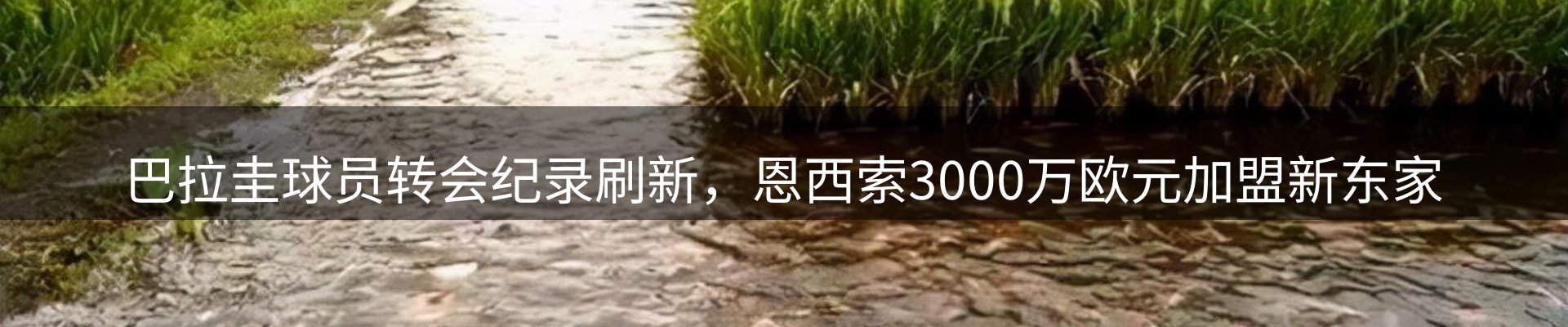 行业资讯